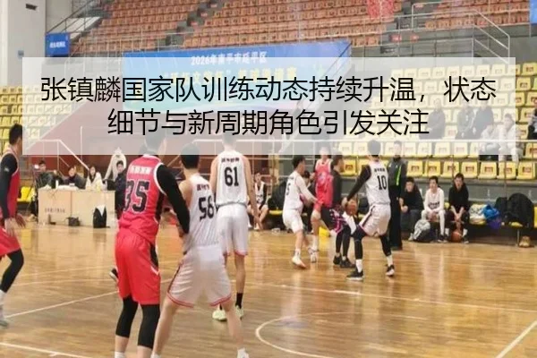 张镇麟国家队训练动态持续升温，状态细节与新周期角色引发关注